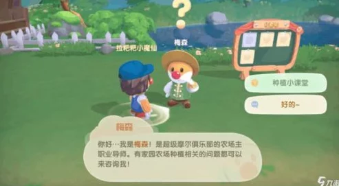 《摩尔庄园》游戏中轻松购房指南：全面解析购买房子步骤与技巧