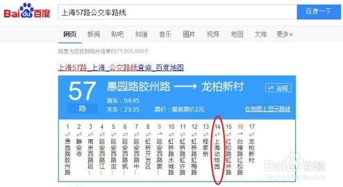 癫狂动物园挑战：袋鼠园区全面通关策略与技巧指南