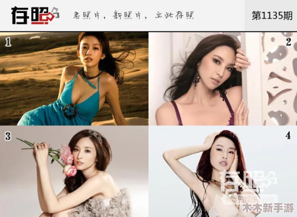 台湾李蓉蓉怎么合作？揭秘跨海联手的秘密武器，让合作如虎添翼