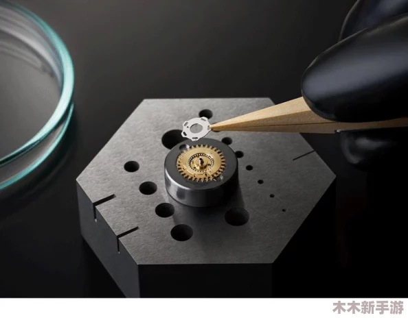 性别自由凸轮管阿拉伯：革命性的平等与包容，引领社会进步