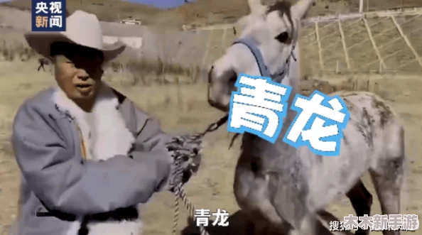八重童子被丘丘人繁衍后代，引发网友热议和讨论