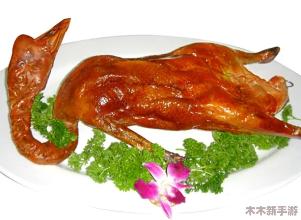 加拿大鹅在鹅鸭杀中的独特作用与全面玩法指南