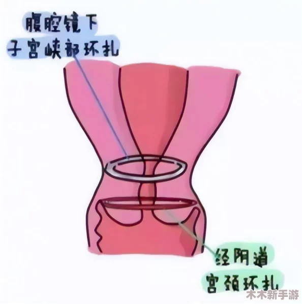 八重神子被插阴道：震撼！这是何等残忍的行为？
