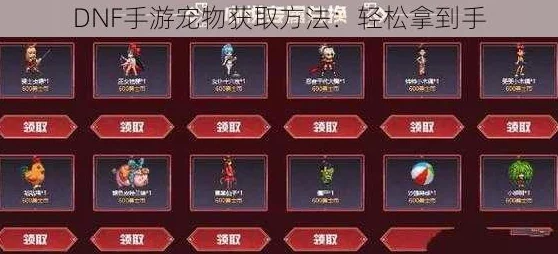 DNF宠物赠送指南：全面解析选哪个伙伴能助你一臂之力