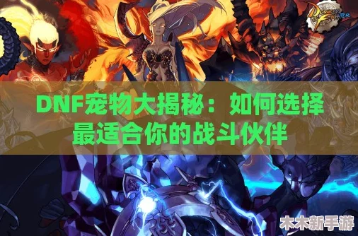 DNF宠物赠送指南：全面解析选哪个伙伴能助你一臂之力
