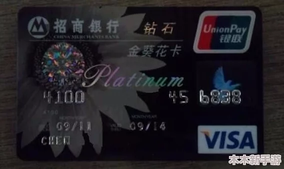 卡普拉贵宾卡的荣耀归属：揭秘专属应援背后的尊贵身份