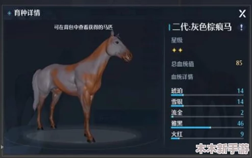 诺亚之心：解锁高品质马匹培育秘籍，掌握专业育种技巧与要点
