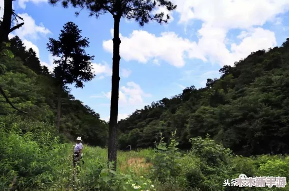 原始传奇游戏内斗笠合成地点全面指南与攻略