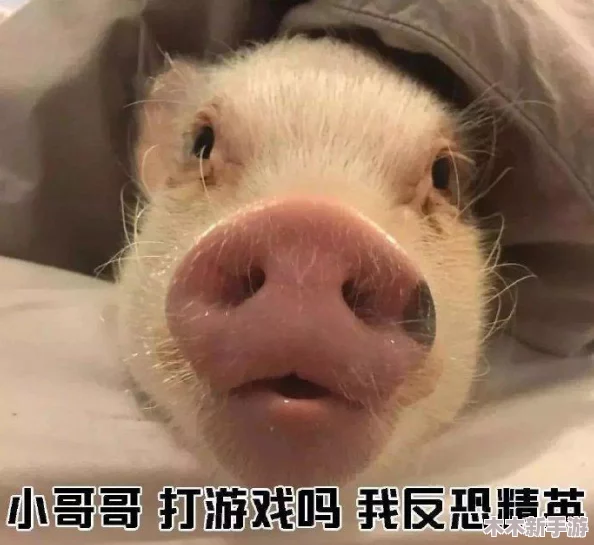 反恐精英游戏中探索个性化表情快捷键指南