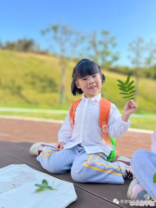 “小草回家永不迷路2024”：每一次回家的旅程，都是心灵的归属与成长的见证！