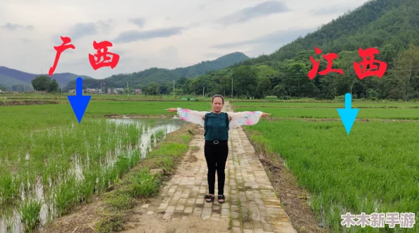 夫妻之间三十中插秧方法：提升农田产量的实用技巧与经验分享