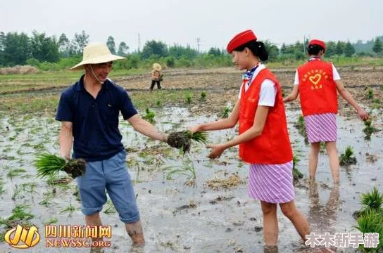 夫妻之间三十中插秧方法：提升农田产量的实用技巧与经验分享