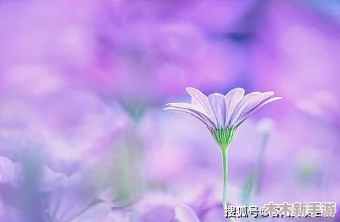 努力耕耘自己的女儿，网友热评“她是我心中最美的花朵，期待她绽放出无尽的光彩”