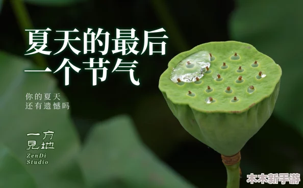 努力耕耘自己的女儿，网友热评“她是我心中最美的花朵，期待她绽放出无尽的光彩”