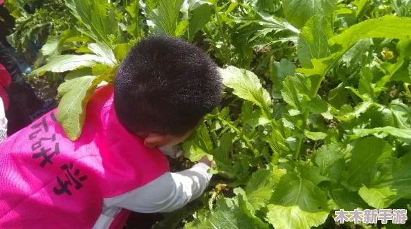 拔萝卜：新冠疫情下的家庭种菜热潮，居家生活方式的转变