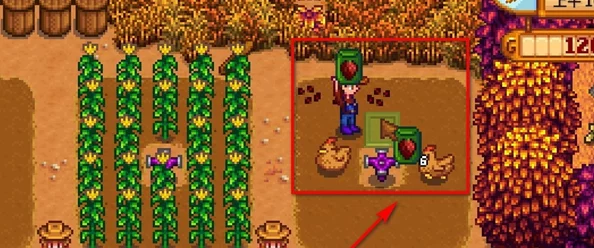 星露谷物语中寻觅：揭秘甜菜的种植特性与收获时节