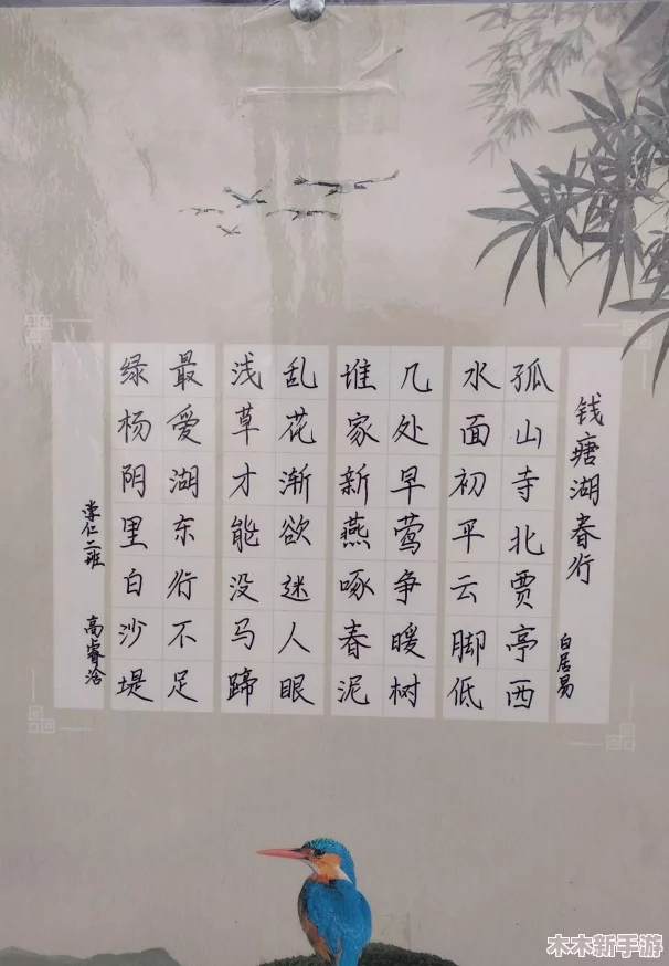 公主多情(慎), 笔尖下的柔情与坚韧，网友热评：她用文字编织梦想，让人心醉神迷