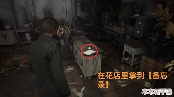 〈寂静岭2：重制版〉南谷西部全要素搜集指南与攻略精选