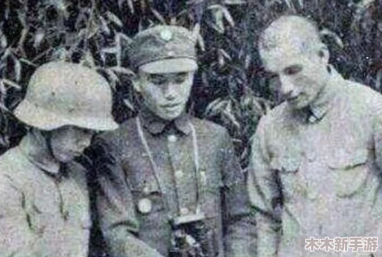 少年名将攻略：如何在游戏中快速提升战力与策略技巧，成为顶尖玩家的必备指南