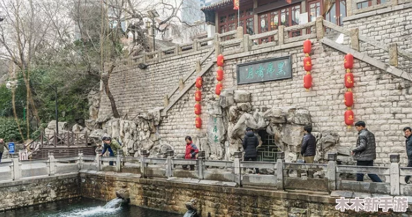山东胖老太BBWW：令人惊叹的传统手工技艺，值得收藏和品味