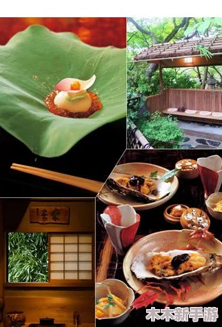 日本大肥波BBWWHBBWW：畅享美食与文化的完美结合，感受独特的旅行体验与风土人情