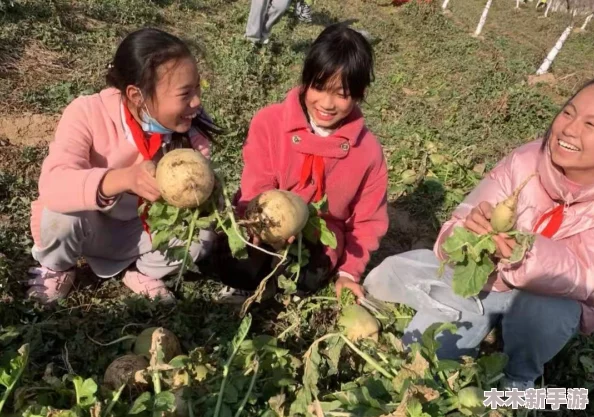 双人房间里拔萝卜：在家也能享受田园乐趣，轻松体验种植的快乐与收获