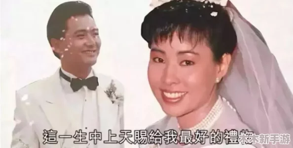 大团圆王芳高飞一家：温馨家庭故事与幸福生活的完美结合，感受爱的力量与亲情的温暖