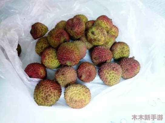啊~你他妈别舔了，快来看看这场令人震惊的网络热潮背后的真相！