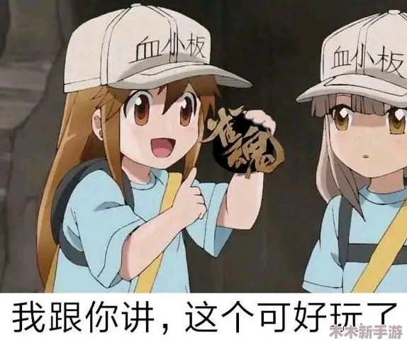 九幺免费版安装无风险，用户反馈良好，操作简单且安全性高，让人放心使用