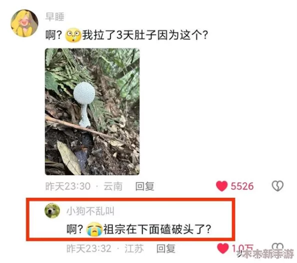 吃瓜网曝揭秘黑料蘑菇，真相令人震惊，背后故事引发热议与反思