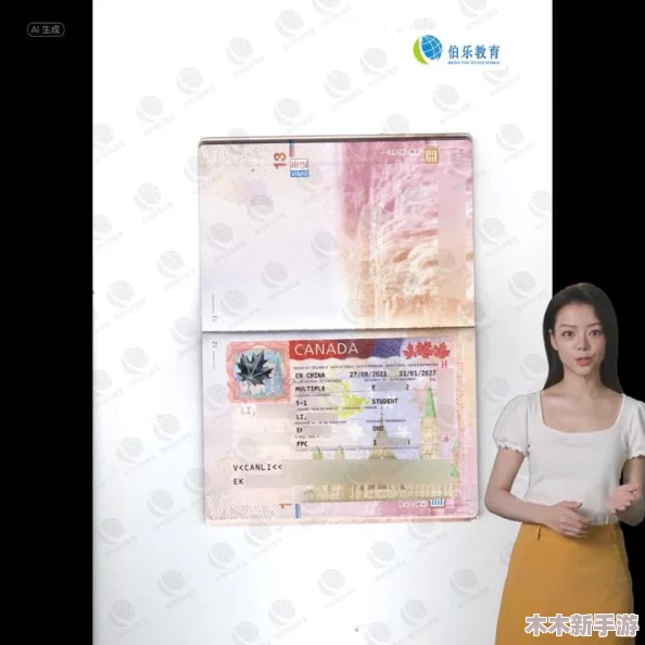 九幺1.0.8版本风险评估：潜在问题与用户反馈分析