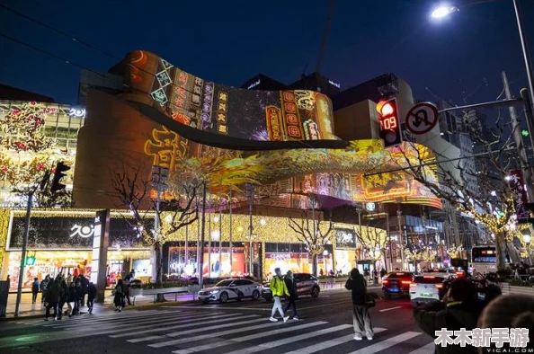 光影交织,惊艳绽放!闪烁之光2024年最新消息：神秘新角色即将登场