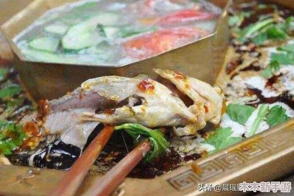 四川w搡BBB搡wBBB搡BBBBB：美食、旅游、文化一网打尽