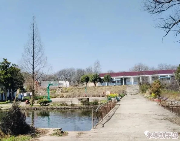 晚上打扑克不盖被子，享受深夜游戏的乐趣与刺激，放松心情迎接新挑战