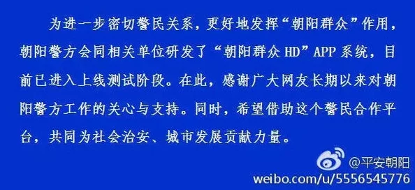 51朝阳群众年度总结：回顾2023年社会热点与民生关切的深度分析与反思