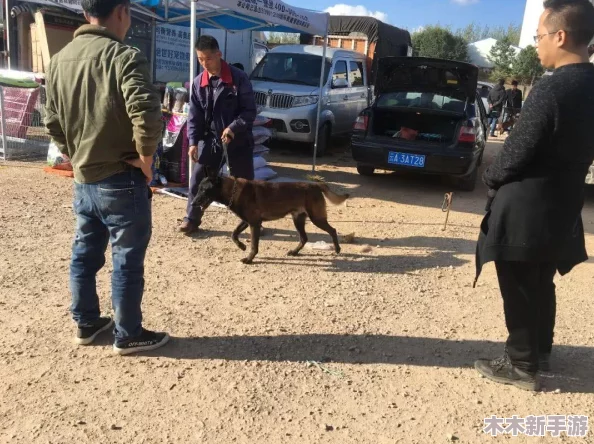在《我的世界》中探索驯服僵尸为保镖的独特策略与方法