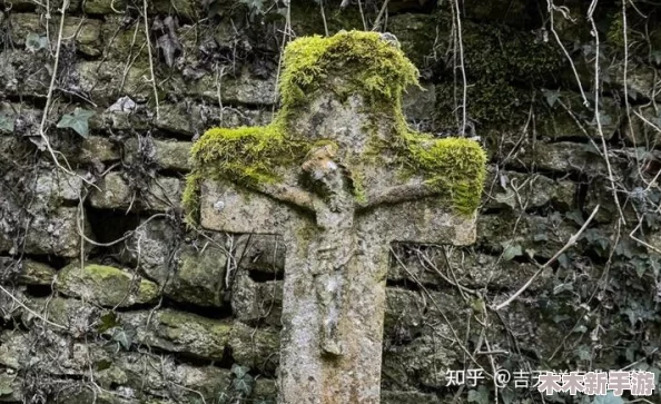 紫蛛儿的墓碑：一段关于生命与死亡交织的感人故事，令人深思的情感之旅