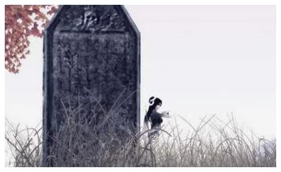 紫蛛儿的墓碑：一段关于生命与死亡交织的感人故事，令人深思的情感之旅
