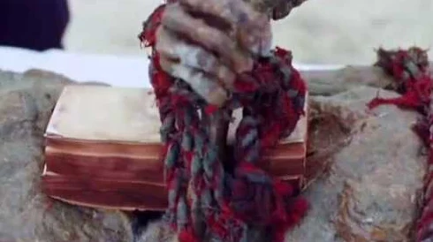 紫蛛儿的墓碑：一段关于生命与死亡交织的感人故事，令人深思的情感之旅