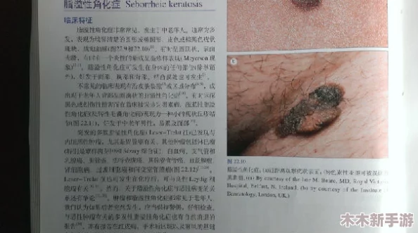 “钶钶钶钶钶钶钶多水”背后的谜题，揭示了生活中水的独特价值与不可或缺性
