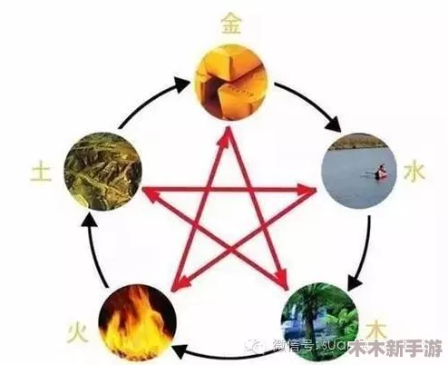 五行车位置：如何利用五行理论提升你的驾驶体验与安全性分析