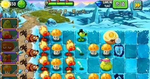 植物大战僵尸2：闪电芦苇性能全览及实战数据图鉴指南