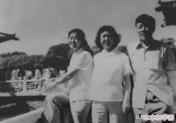 卫老与淑容：网友热议这对传奇组合如何在时代变迁中依然闪耀光芒