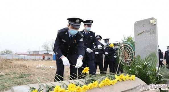 “ексе高清妈妈”带你领略真实而感人的母爱故事，展现生活中的温暖与坚韧