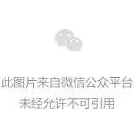 暗区突围游戏信誉分体系全面解析与提升策略