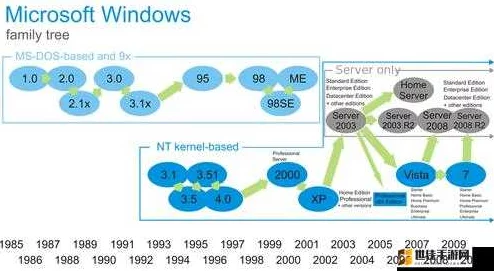 日本Windows Server 16：性能卓越与安全性兼备的理想选择