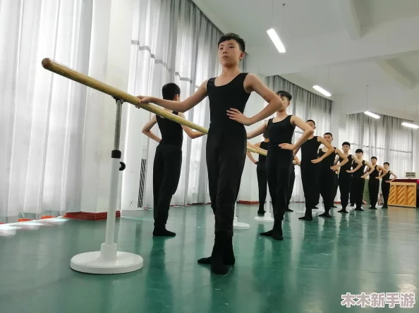 无需下载国外黄冈网站，轻松获取优质学习资源的最佳选择！