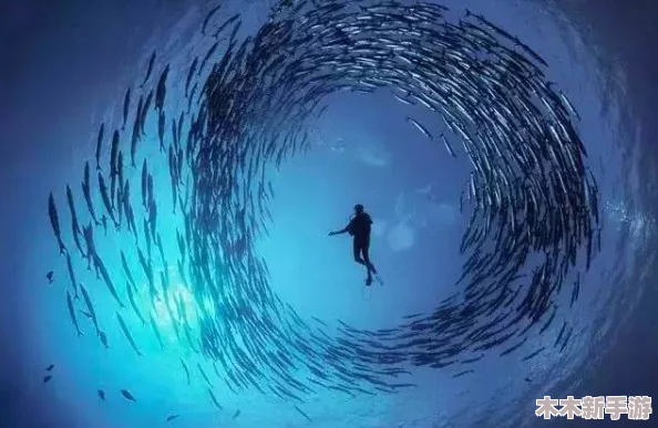 探寻暗喻幻想中的全黄金虫：神秘生物栖息地全面介绍