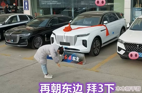 前四后八是什么意思缅北 网友热议：这不仅是车型，更是一种生活方式的象征与追求