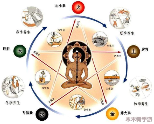 “五行车位置：用户对五行车位置的反馈与见解全面汇总，探讨其实际应用与效果”